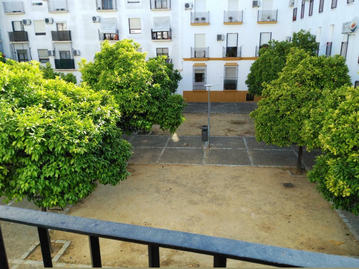 Plaza Compania Jerez Appartement