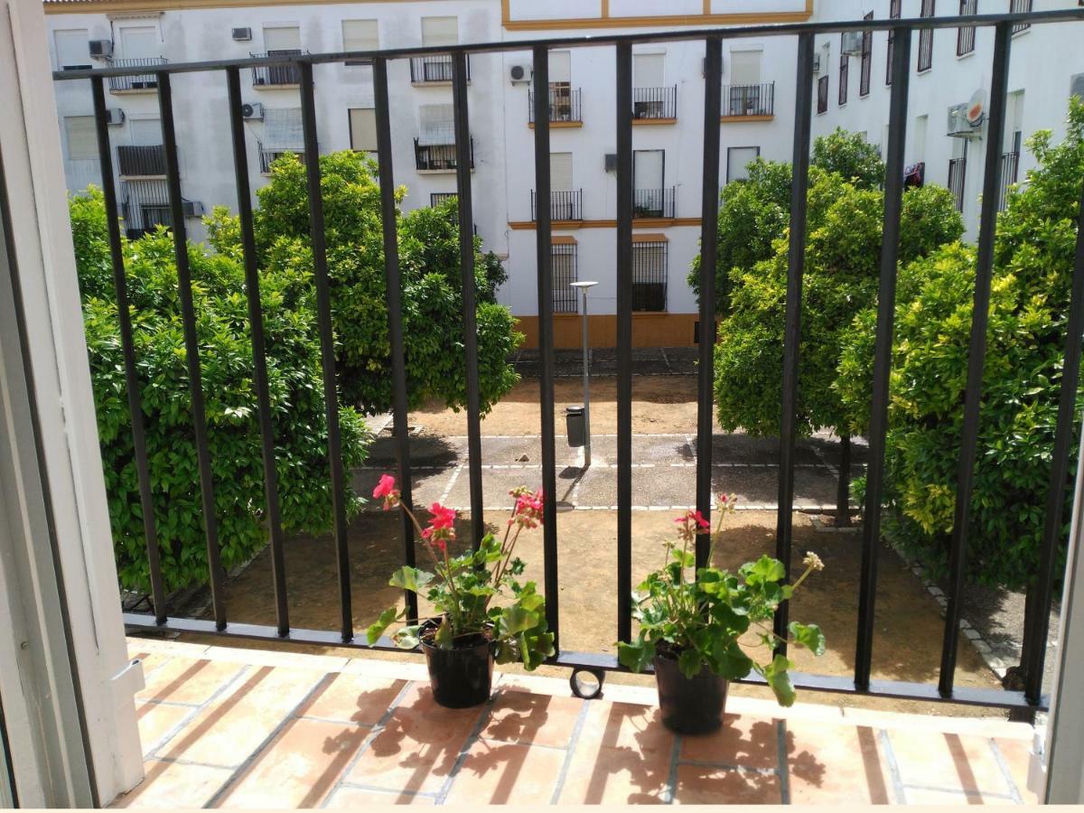 Apartamento Plaza Compania Jerez *